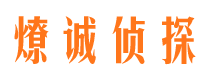 寻乌市调查公司